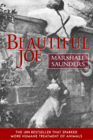 Cover of Beautiful Joe (Paperback)