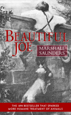 Book cover for Beautiful Joe (Paperback)