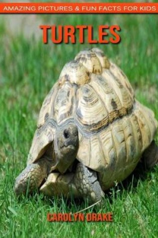 Cover of Turtles