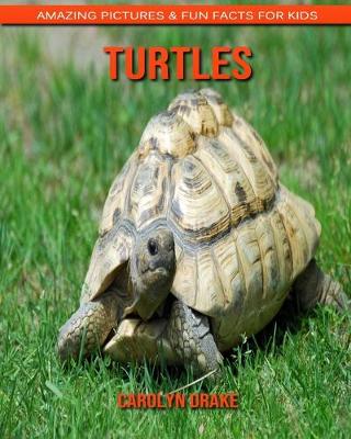 Book cover for Turtles