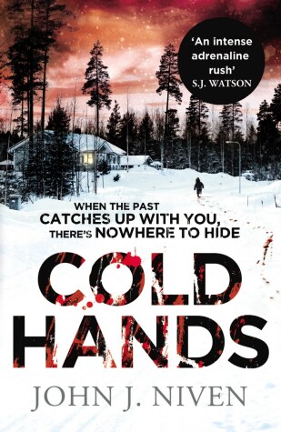 Book cover for Cold Hands