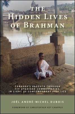 Cover of The Hidden Lives of Brahman