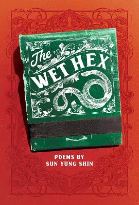 Book cover for The Wet Hex