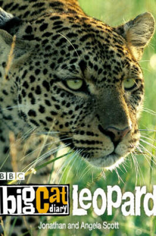 Cover of Big Cat Diary: Leopard