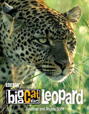 Book cover for Big Cat Diary: Leopard