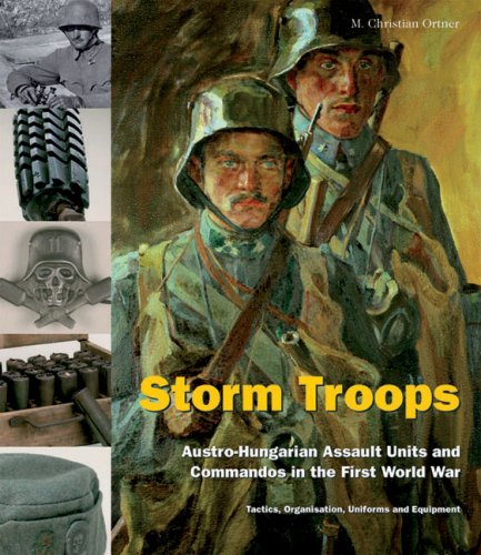 Book cover for Storm Troops