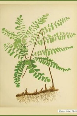 Cover of Nature Sketch Book