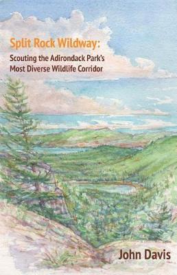 Book cover for Split Rock Wildway