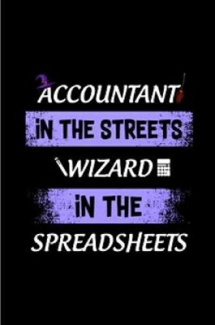 Cover of Accountant in the streets wizard in the spreadsheets