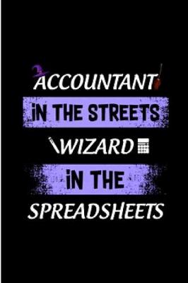 Book cover for Accountant in the streets wizard in the spreadsheets