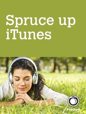 Book cover for Spruce up iTunes, by adding album art and lyrics and removing duplicate songs