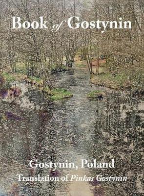 Book cover for Book of Gostynin, Poland