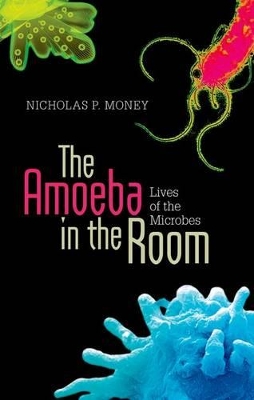 Book cover for The Amoeba in the Room