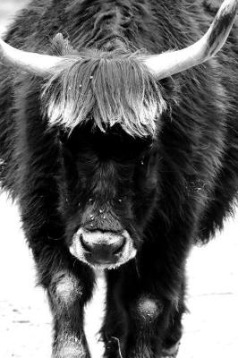 Book cover for Aurochs Bull in Back and White Journal