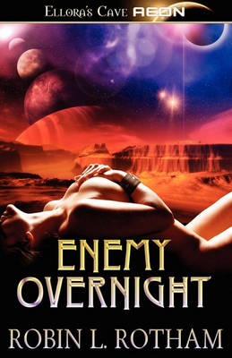 Book cover for Enemy Overnight