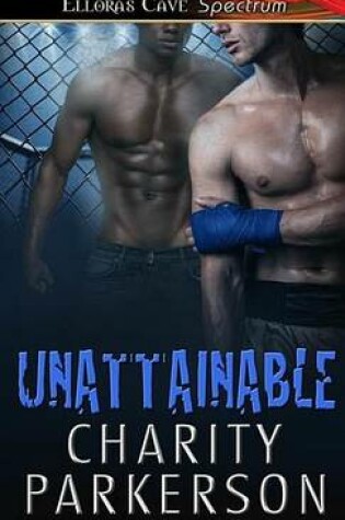 Cover of Unattainable