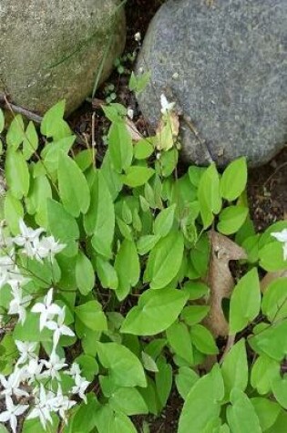 Cover of 2020 Weekly Planner Springtime Wild White Flowers Among Rocks 134 Pages