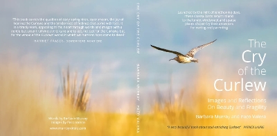 Book cover for The Cry of the Curlew