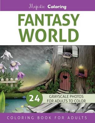 Book cover for Fantasy World