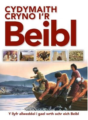 Book cover for Cydymaith Cryno i'r Beibl