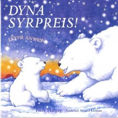 Book cover for Dyna Syrpreis!