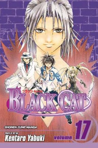 Cover of Black Cat, Vol. 17