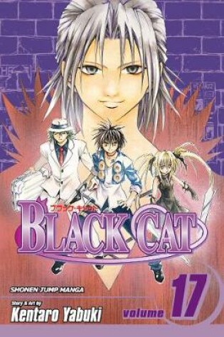 Cover of Black Cat, Vol. 17