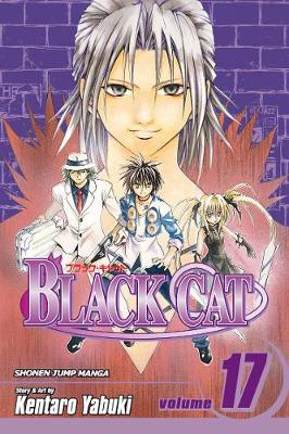 Book cover for Black Cat, Vol. 17