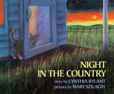 Book cover for Night in the Country