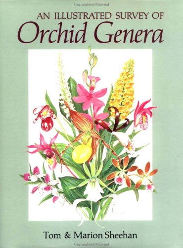 Book cover for An Illustrated Survey of Orchid Genera