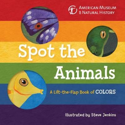 Book cover for Spot the Animals