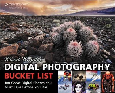 Book cover for David Busch's Digital Photography Bucket List