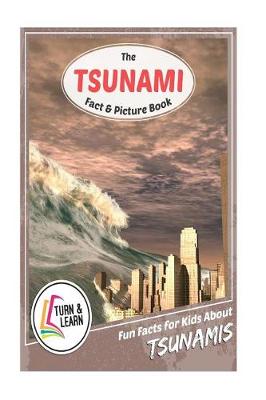 Book cover for The Tsunami Fact and Picture Book