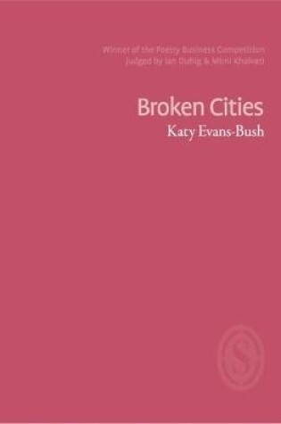 Cover of Broken Cities