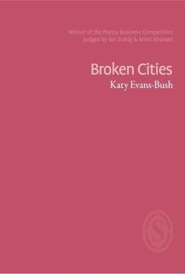 Book cover for Broken Cities