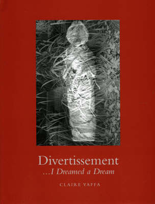 Book cover for Divertissement