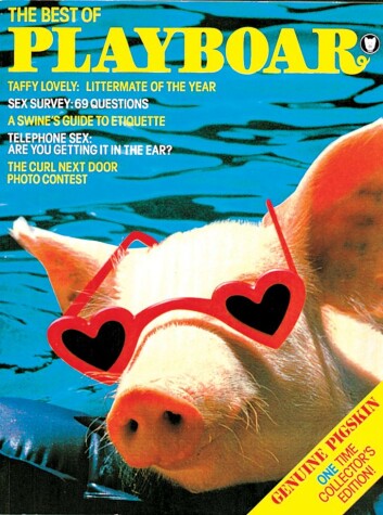 Cover of The Best of Playboar