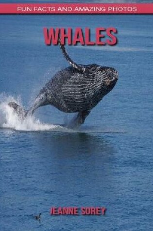 Cover of Whales