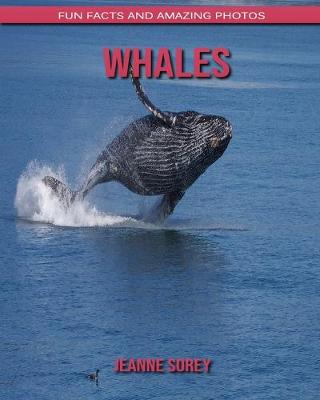 Book cover for Whales