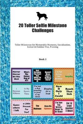 Book cover for 20 Toller Selfie Milestone Challenges