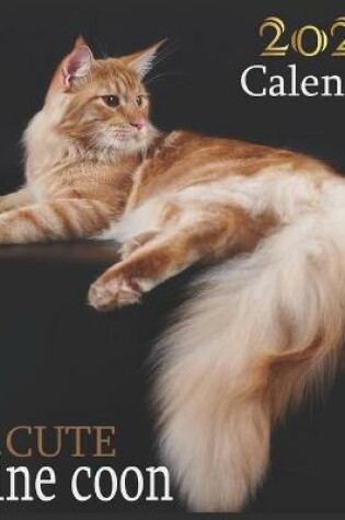 Cover of Cute maine coon
