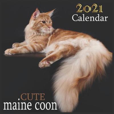 Book cover for Cute maine coon