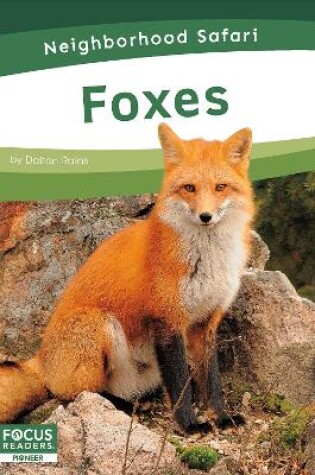 Cover of Foxes