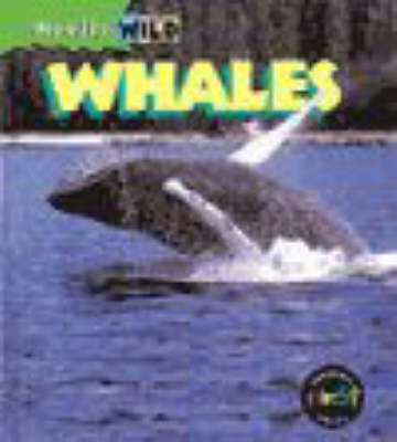 Book cover for Really Wild: Whales
