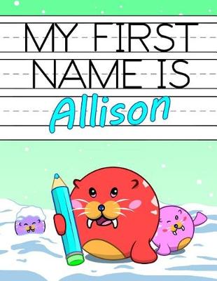 Book cover for My First Name Is Allison