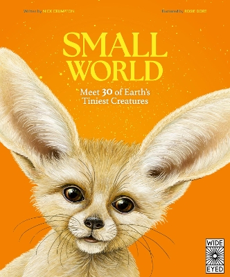 Book cover for Small World