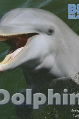 Cover of Dolphin