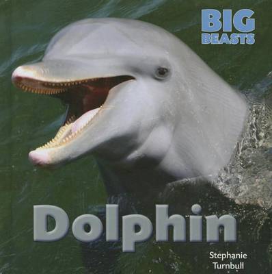 Cover of Dolphin