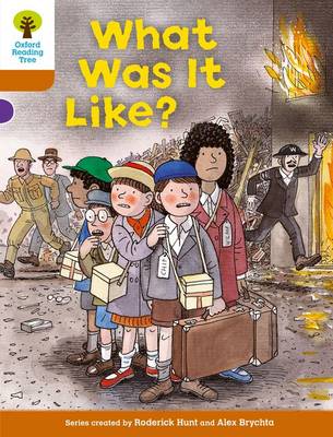 Cover of Oxford Reading Tree: Level 8: More Stories: What Was It Like?