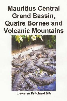 Book cover for Mauritius Central Grand Bassin, Quatre Bornes and Volcanic Mountains